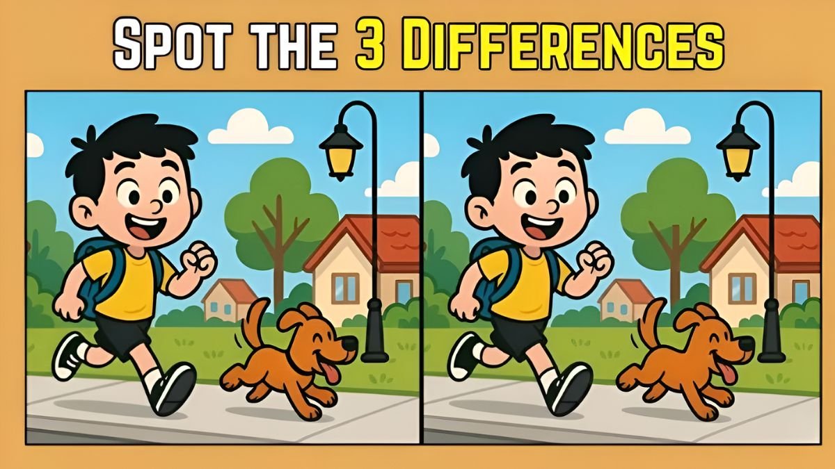 Spot the Difference Puzzle: Find 3 Differences in the School Boy Image Within 8 Seconds